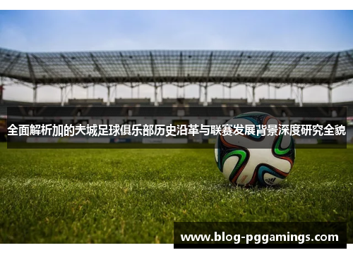 全面解析加的夫城足球俱乐部历史沿革与联赛发展背景深度研究全貌