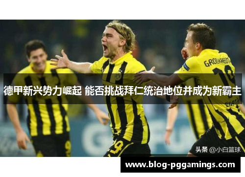 德甲新兴势力崛起 能否挑战拜仁统治地位并成为新霸主